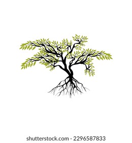 tree and roots vector illustrations, mangrove tree