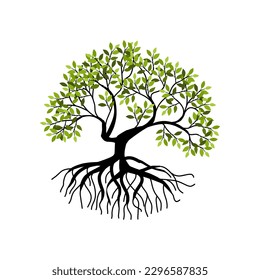 ilustraciones vectoriales de árboles y raíces, árbol de mangle