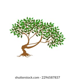 tree and roots vector illustrations, mangrove tree