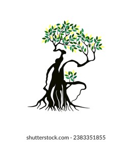 tree and roots vector illustrations, mangrove tree
