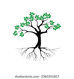 ilustraciones vectoriales de árboles y raíces, árbol de mangle