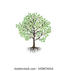 Tree Roots Vector Image Isolated On Stock Vector (Royalty Free ...
