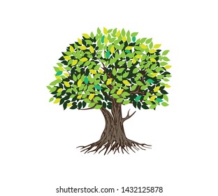 Tree and roots vector isolated,  oak tree illustration