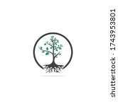 Tree Roots vector logo design. Vector tree with roots logo element.