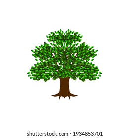 Tree and roots vector, tree roots with logo icon
