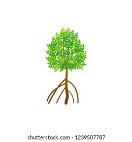 Tree and roots vector, mangrove tree illustration, mangrove plant