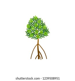 Tree and roots vector, mangrove tree illustration, mangrove plant