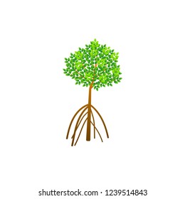 Tree and roots vector, mangrove tree illustration, mangrove plant