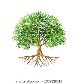 Tree and roots vector, olive tree for symbol or logo