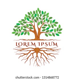 Tree and roots vector, tree with round shape. Tree logo template
