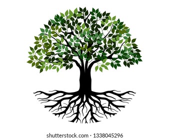 Tree and roots vector, tree with round shape