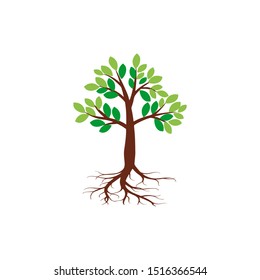 Tree and roots vector, tree with round shape