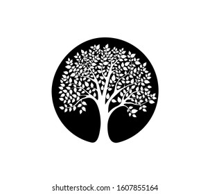 Tree and roots vector, tree with round shape. Tree logo template