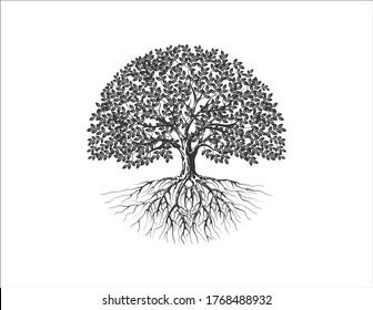 Tree and roots vector, tree with round shape, logo elements.