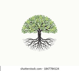 Tree and roots vector, tree with round shape