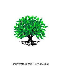 Tree and roots vector, tree with round shape