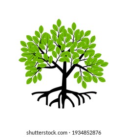 Tree and roots vector, tree with round shape