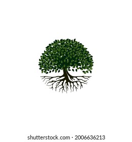 Tree and roots vector, tree with round shape