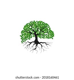 Tree and roots vector, tree with round shape