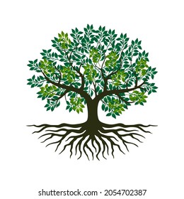 Tree and roots vector, tree with round shape white background