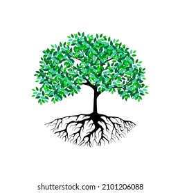 Tree and roots vector, tree with round shape