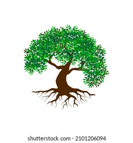 Tree and roots vector, tree with round shape