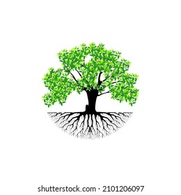 Tree and roots vector, tree with round shape