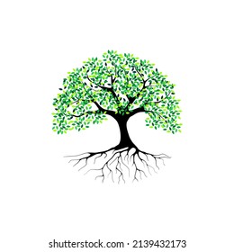 Tree and roots vector, tree with round shape