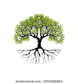 Tree and roots vector, tree with round shape