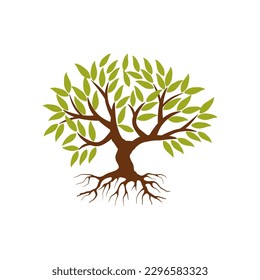 Tree and roots vector, tree with round shape