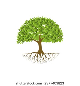 Tree and roots vector, tree with round shape