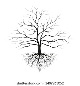 80,564 Bare Tree Silhouette Images, Stock Photos & Vectors 