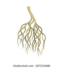 Raíz de árbol, arbusto o arbusto de tallo subterráneo. Ilustración vectorial del elemento de diseño de botánica o dendrología