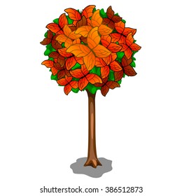 A tree with a round crown and orange butterflies. Vector illustration.