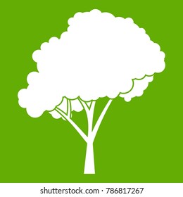 Tree with a rounded crown icon white isolated on green background. Vector illustration