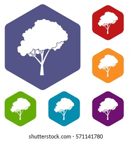 Tree with a rounded crown icons set rhombus in different colors isolated on white background