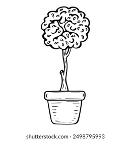 Tree sapling in ceramic pot hand drawn doodle style. Hobby gardening. Nursery of plants for landscape. Vector line art illustration.