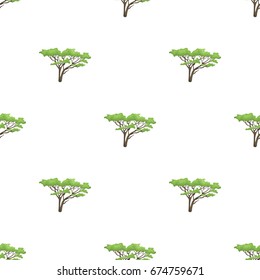 Tree in the savannah.African safari single icon in cartoon style vector symbol stock illustration web.