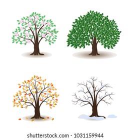 Tree and seasons