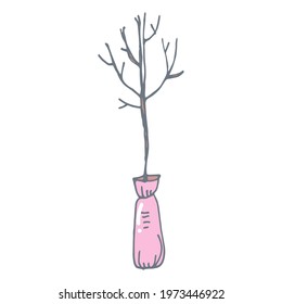 Tree seedling in doodle style. Gardening. Template for postcard, banner, poster, web design. Hand Drawn vector illustration.