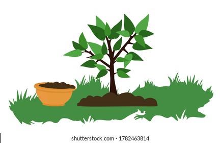 tree seedling in the garden and earthen pot, gardening, flat design, vector illustration