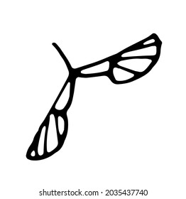 Tree seeds, isolated vector image, hand drawn, isolated vector image, hand drawn