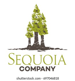 Tree Sequoia Logo