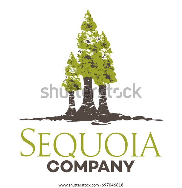Tree sequoia
logo