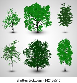 Tree Set 2 | EPS10 Vector