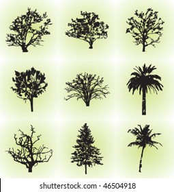 Tree set