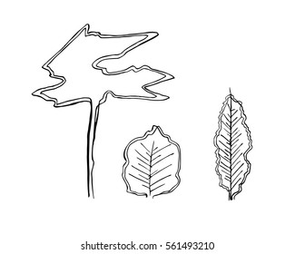 Tree set for architecture landscape design,landscape design elements,Different hand drawn trees isolated on white background, sketch, front view, Set of tree doodles,Trees vector set illustration