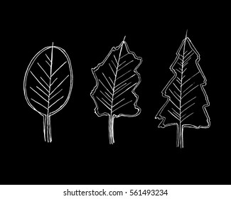 Tree set for architecture landscape design,landscape design elements,Different hand drawn trees isolated on white background, sketch, front view, Set of tree doodles,Trees vector set illustration