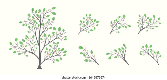 Tree with a set of branches with green leaves and berries on a light background
