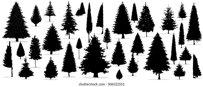 Tree set, Christmas tree on the white background. Silhouette of different pine trees. Pine trees in the Christmas season Home decorations. Design work for publication, website, products.